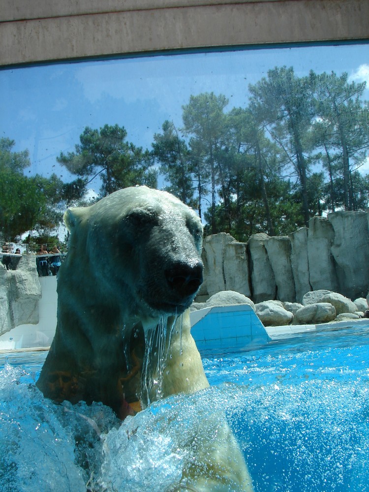 promenade au zoo