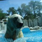 promenade au zoo