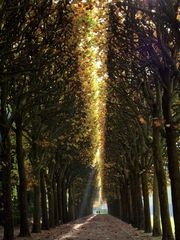 Promenade automnale au Parc de Sceaux...