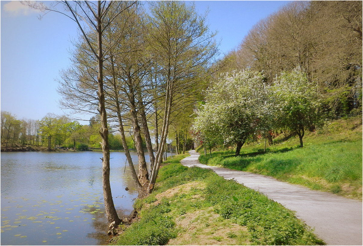 promenade autour de l'étang