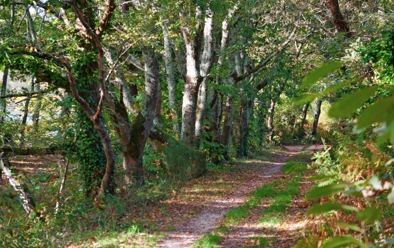 Contes variés du 19 ème siècle pour l`été 2022 – Promenades – Voyages – Vacances, ect - LA VIE CHAMPÊTRE EN ANGLETERRE Promenade-autour-de-letang-du-ter-ploemeur-morbihan-32ad72c7-4cb5-404b-85ad-77515ad9697f
