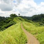 Promenade autour d'Ubud - Bali