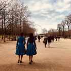 Promenade aux Champs Élysées