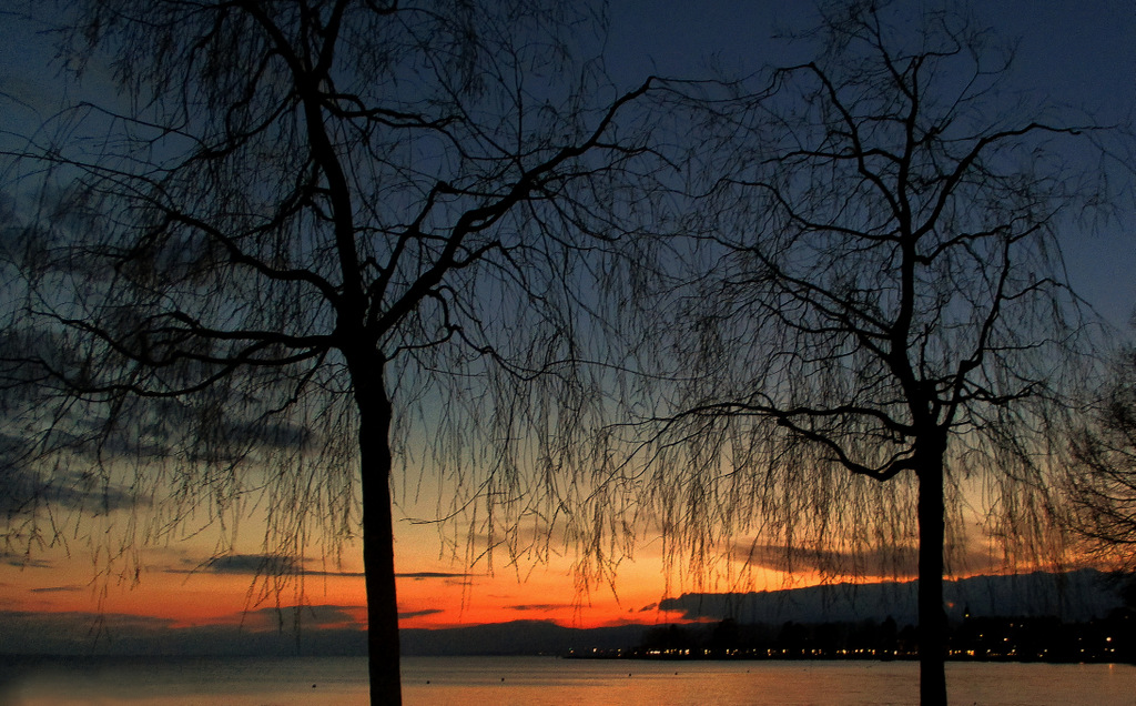 Promenade avec  canon... sur les quais à Ouchy-lausanne.......