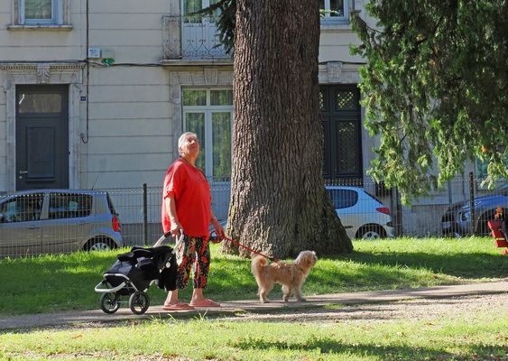 Promenade avec chien au Jardin Jayan  d’Agen