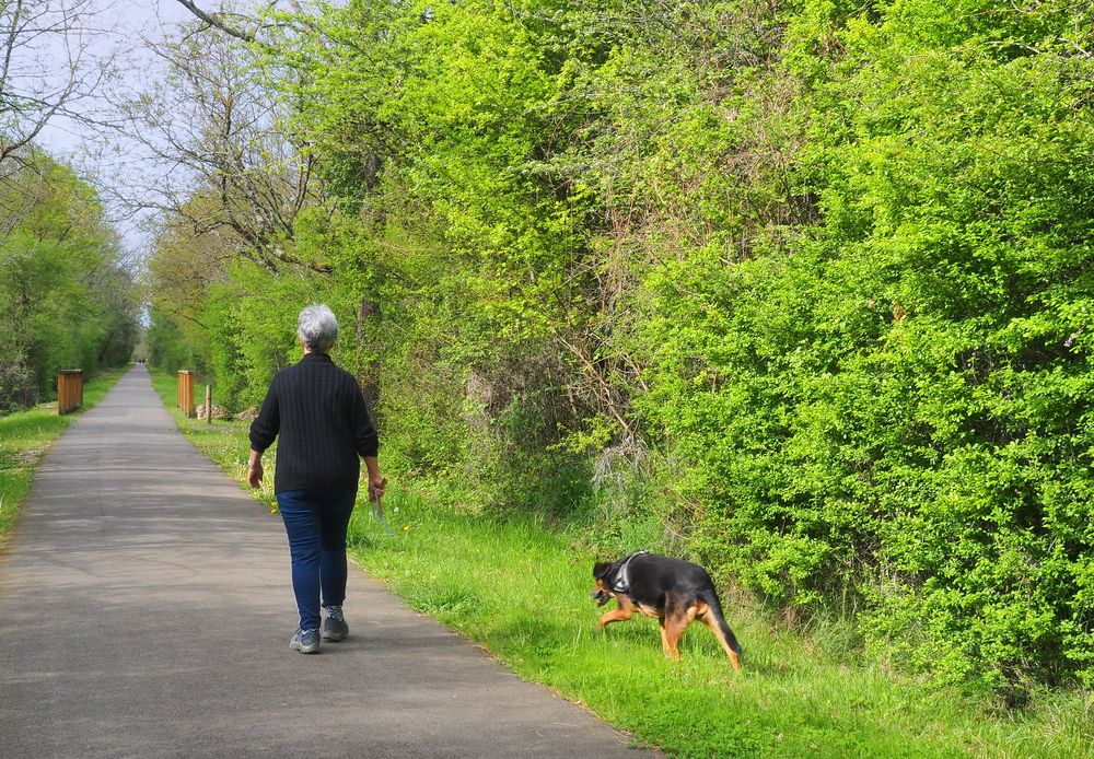 Promenade avec chien sur la voie verte