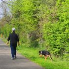 Promenade avec chien sur la voie verte