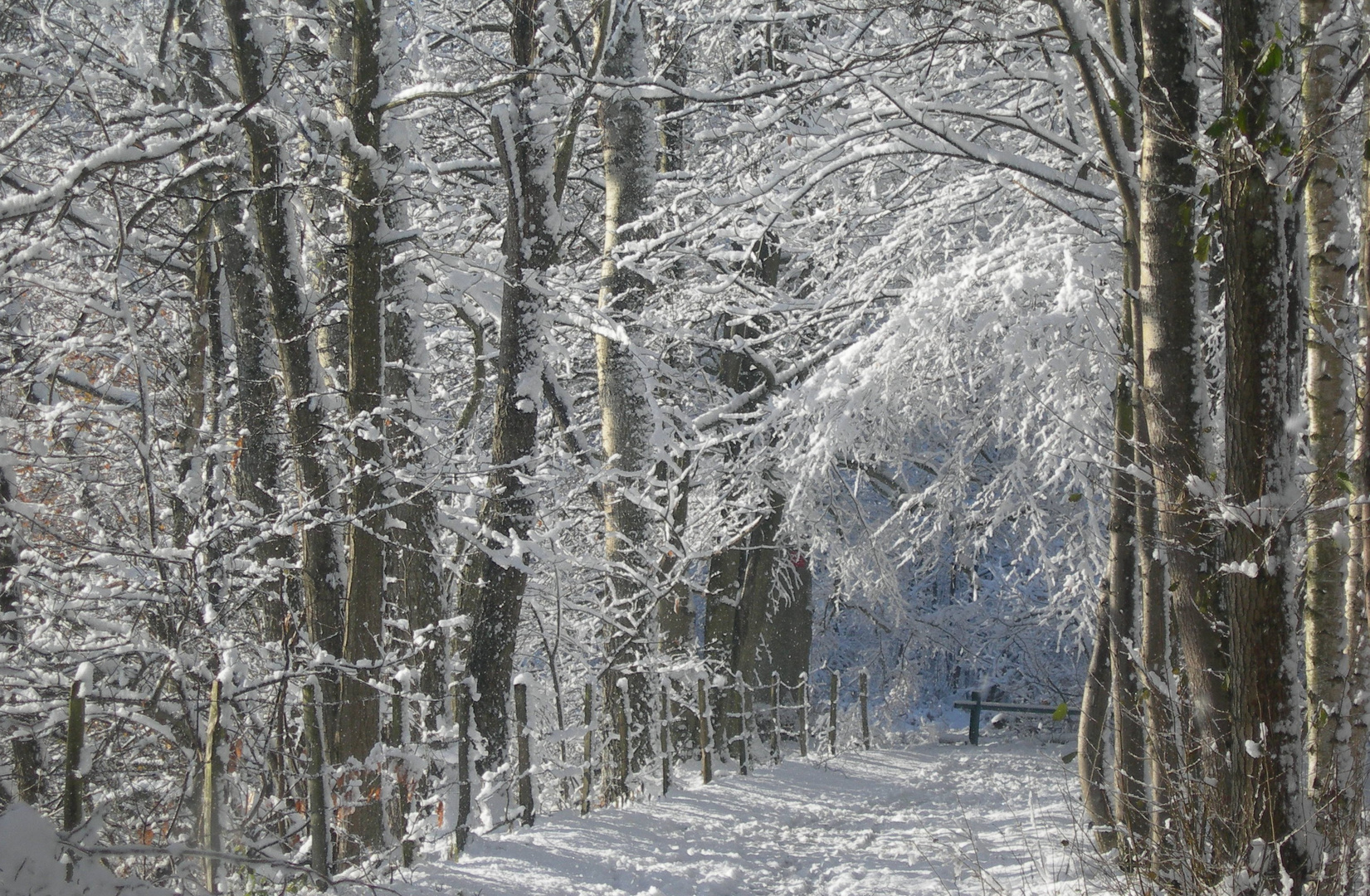 Promenade