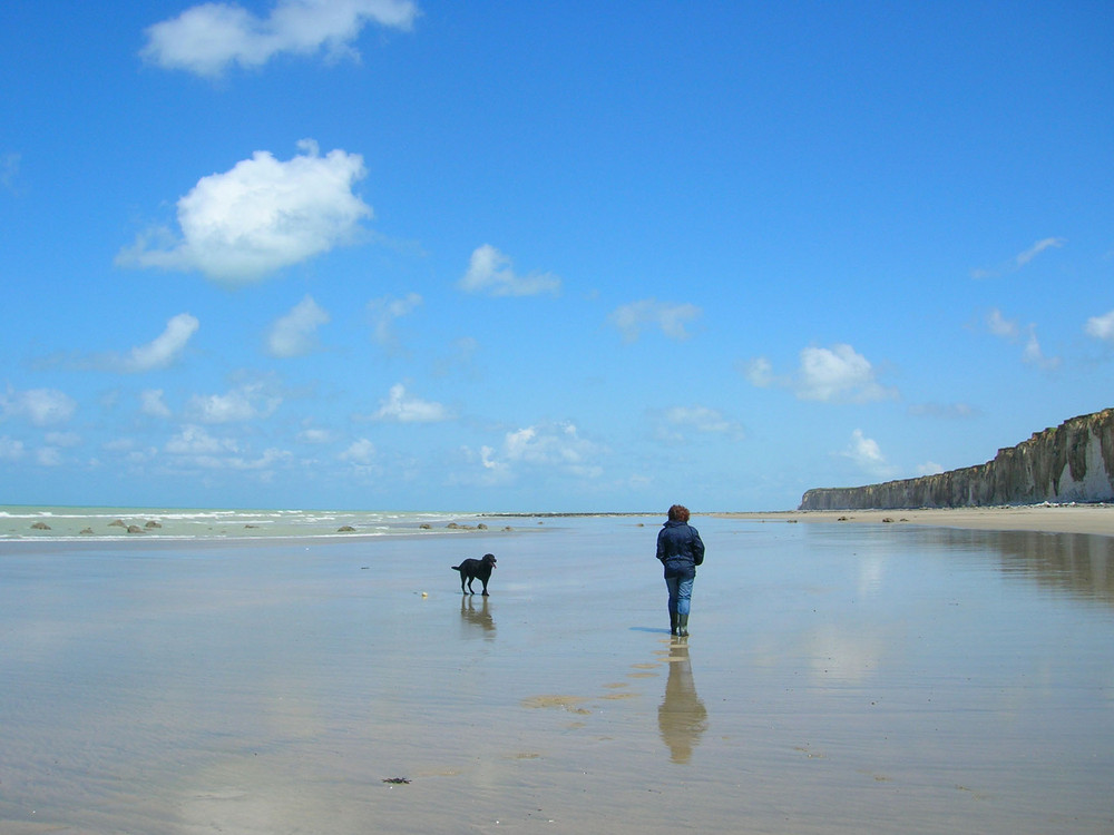 Promenade de Catherine Irrempe 