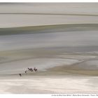 Promenade dans la baie du Mt St Michel