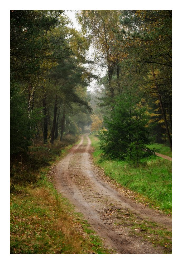 Promenade dans la nature (Luxembourg) .2