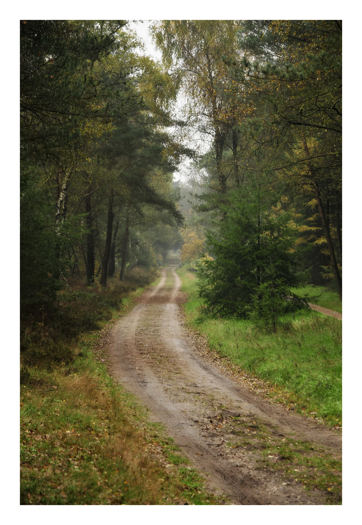 Promenade dans la nature (Luxembourg) .2