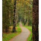 Promenade dans la nature (Luxembourg)