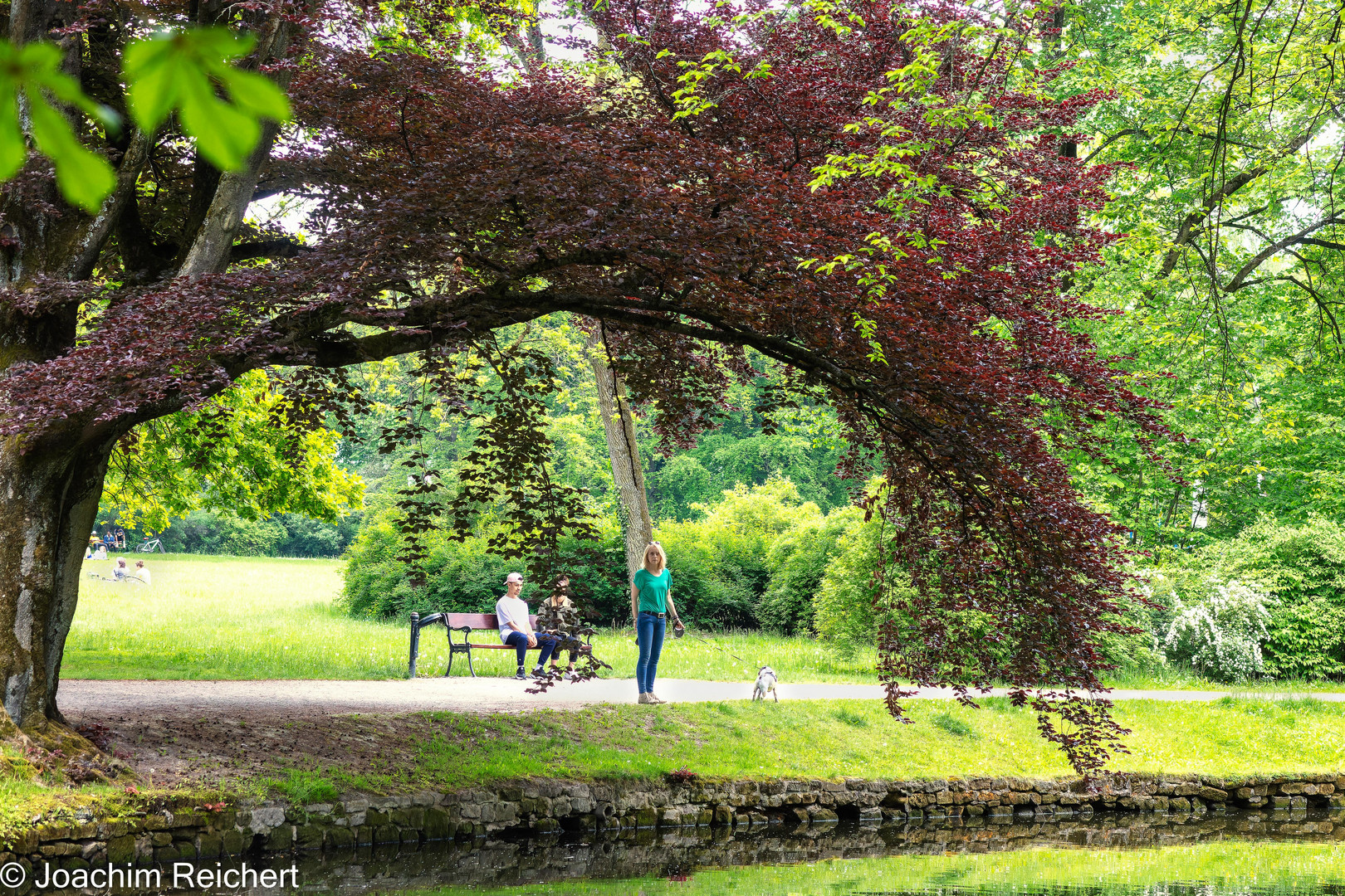 Promenade dans le Hofgarten de Bayreuth en Bavière