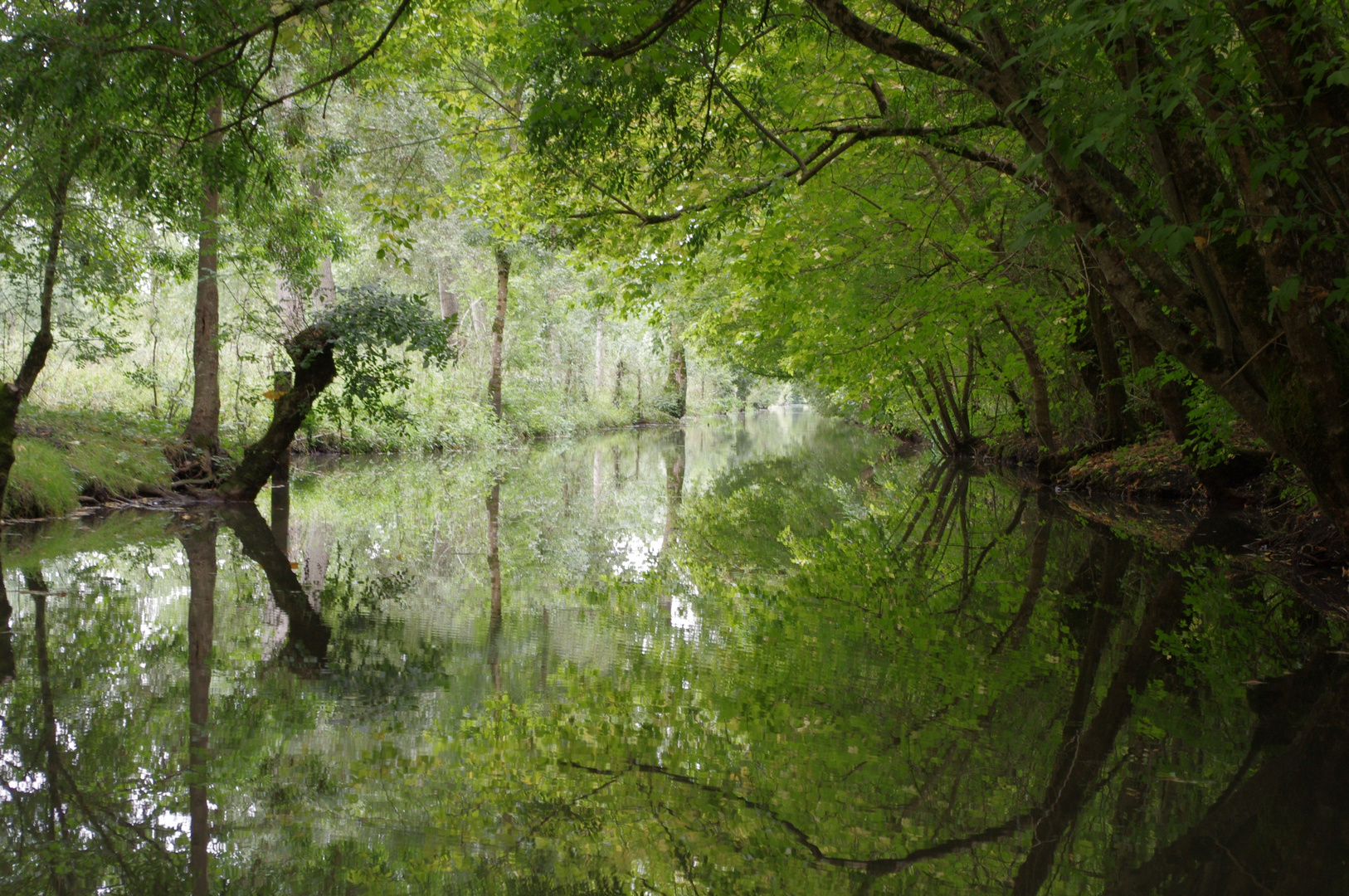 Promenade dans le marais poitevin ....