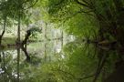 Promenade dans le marais poitevin .... de Dream30 