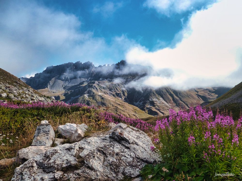 Promenade dans les Alpes