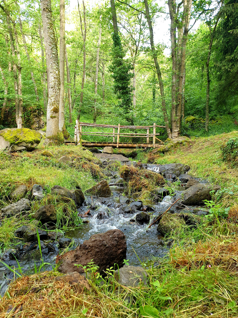 Promenade dans les bois