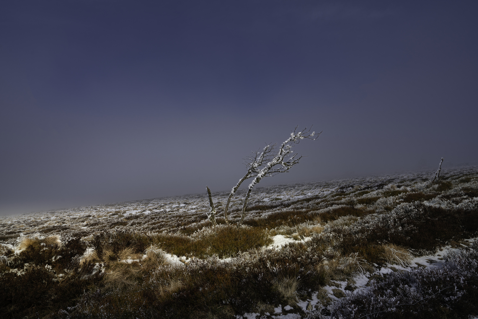 Promenade dans les Monts du Pilat