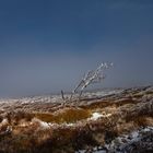 Promenade dans les Monts du Pilat