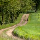 Promenade dans ma campagne