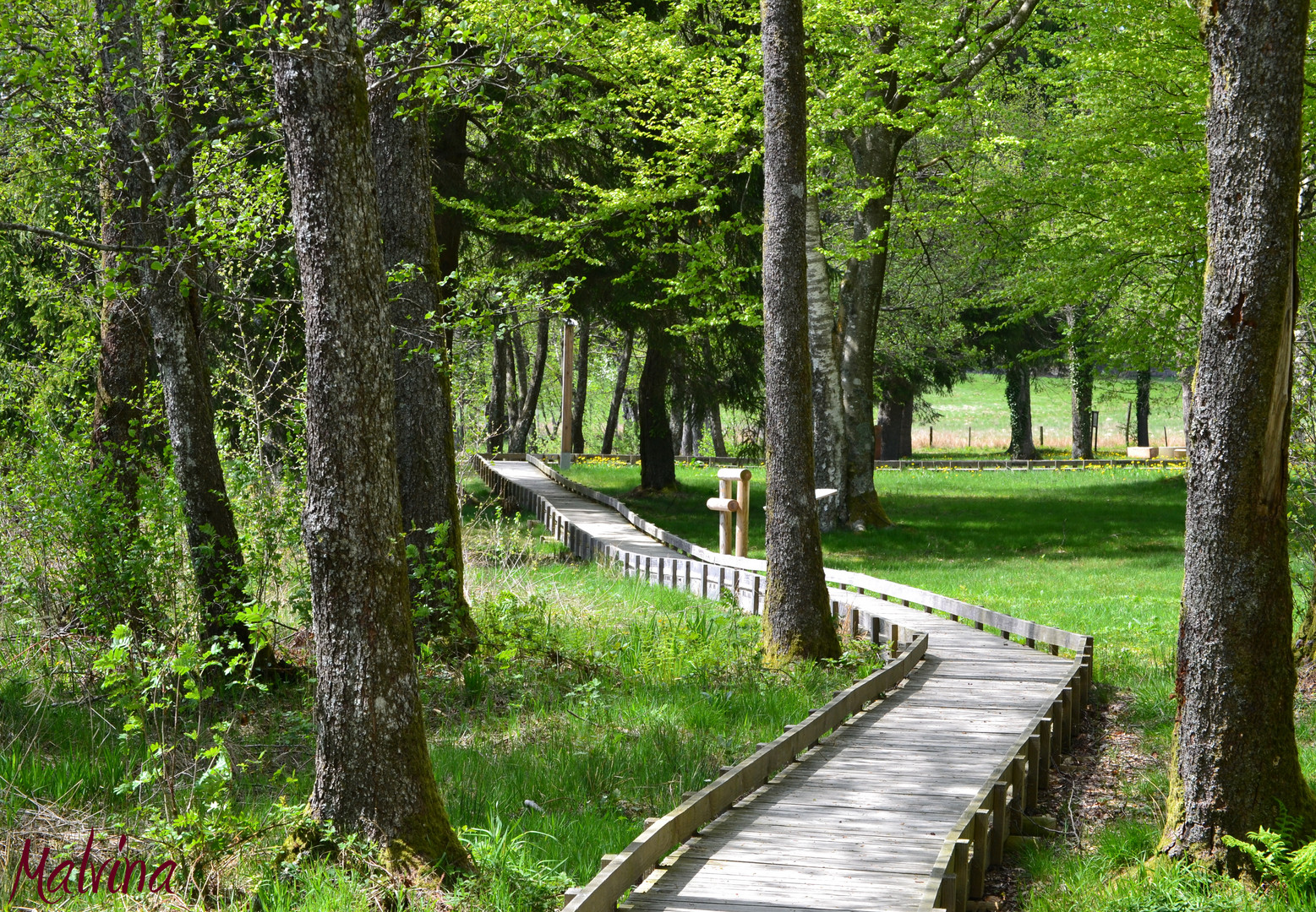 Promenade dans un parc régional