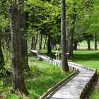 Promenade dans un parc régional