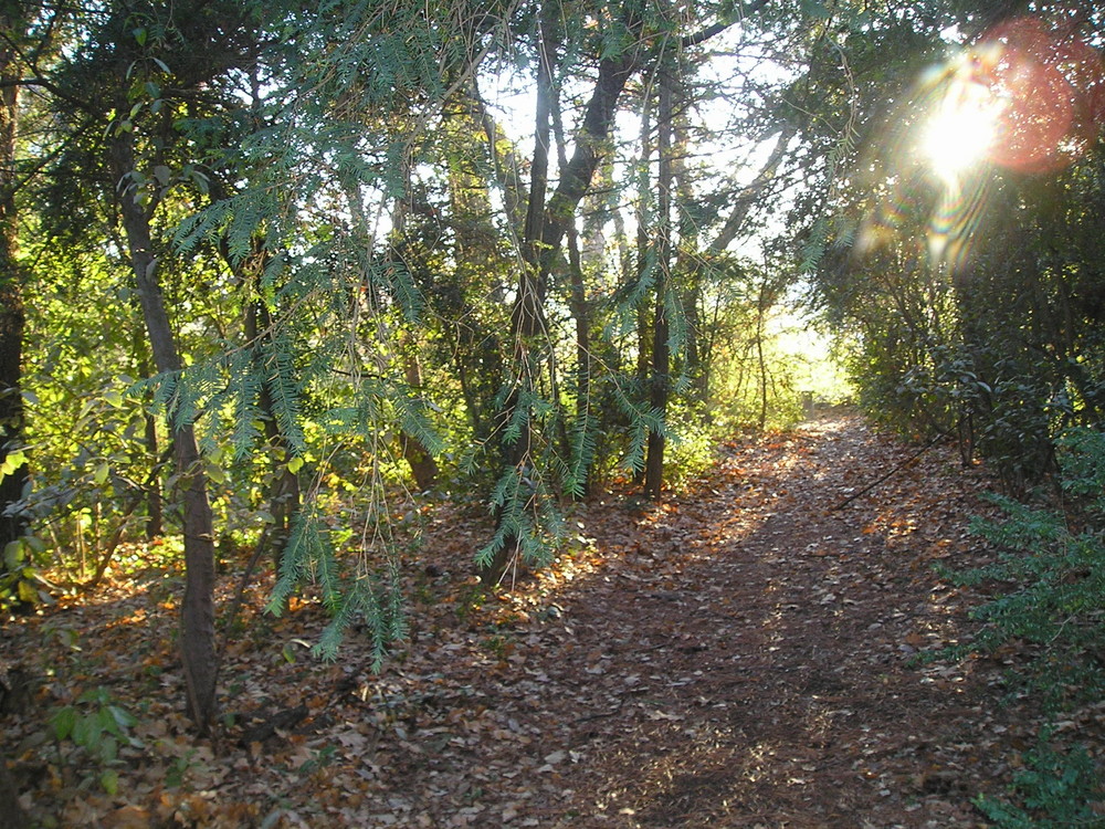 Promenade d'automne