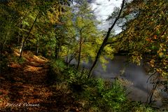 promenade d'automne