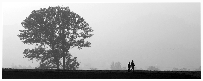 Promenade d'automne