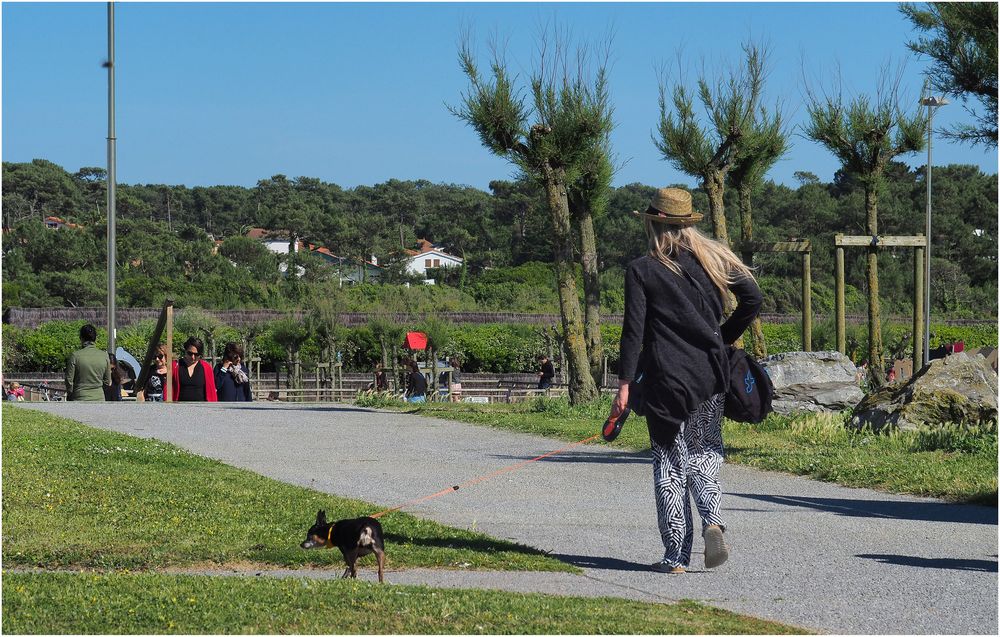 Promenade de Madame et son chien