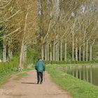 Promenade de printemps 