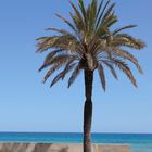 Promenade der Cala Millor (1)