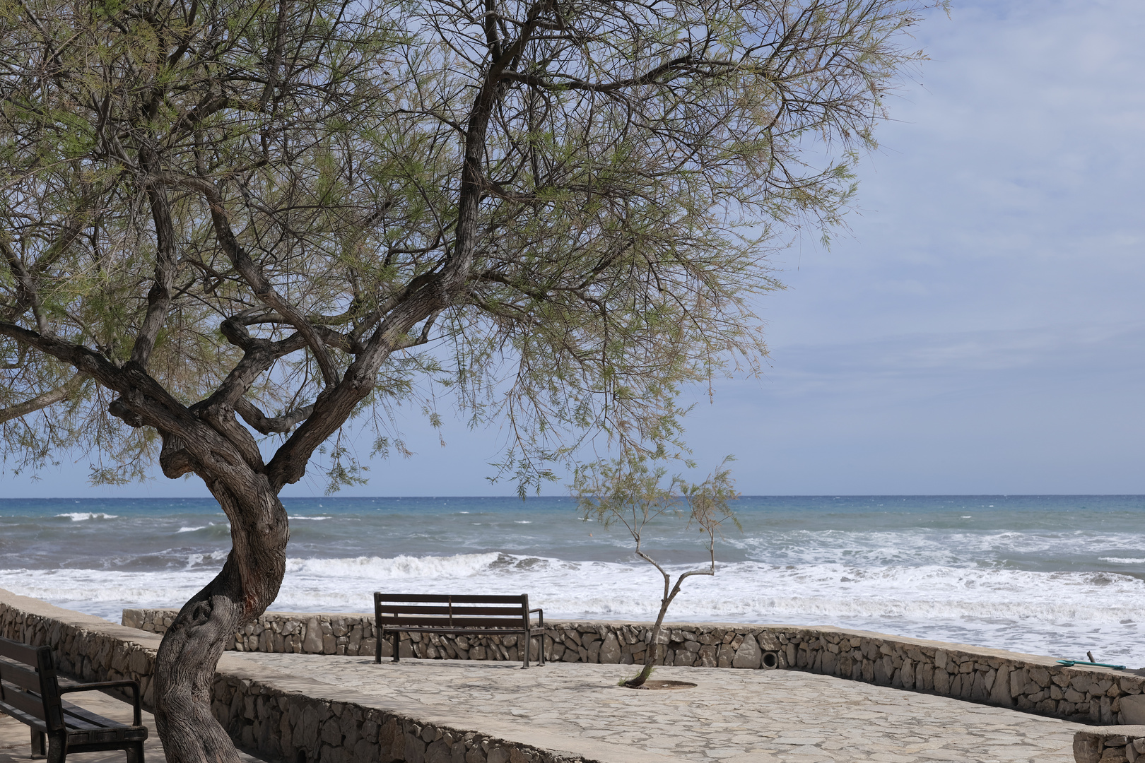 Promenade der Cala Millor (2)