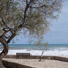 Promenade der Cala Millor (2)