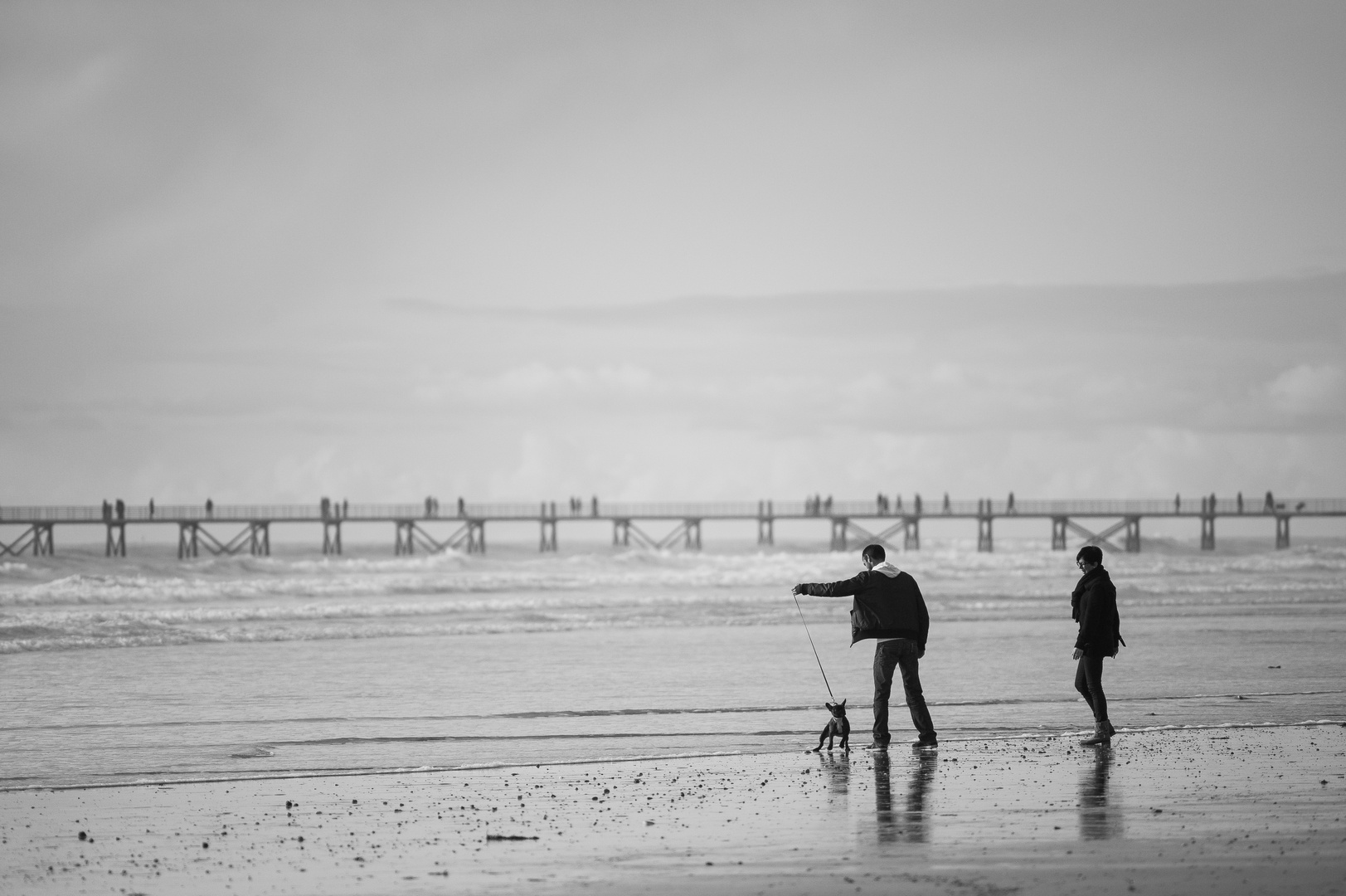 Promenade du chien