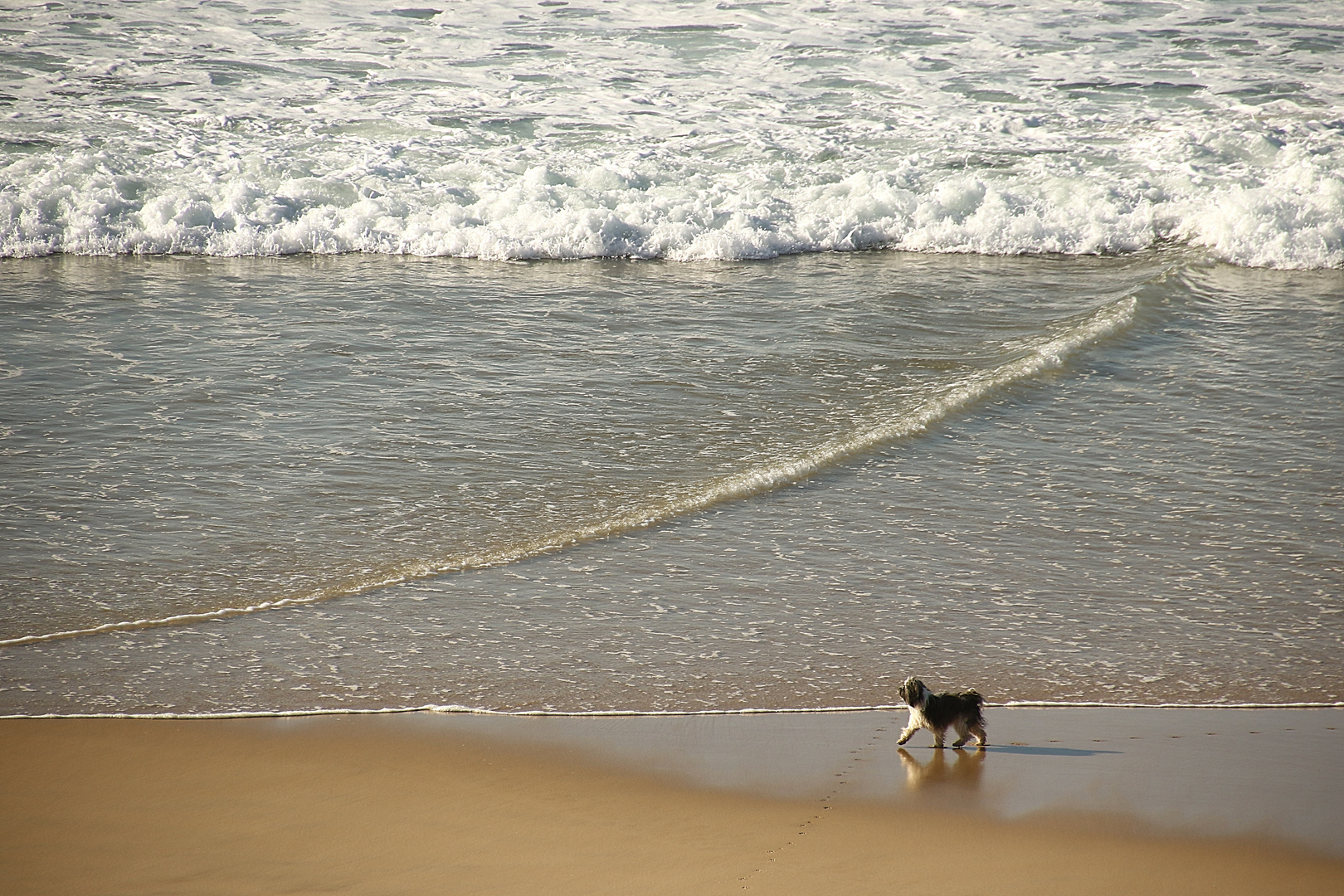 promenade du dimanche !