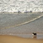 promenade du dimanche !