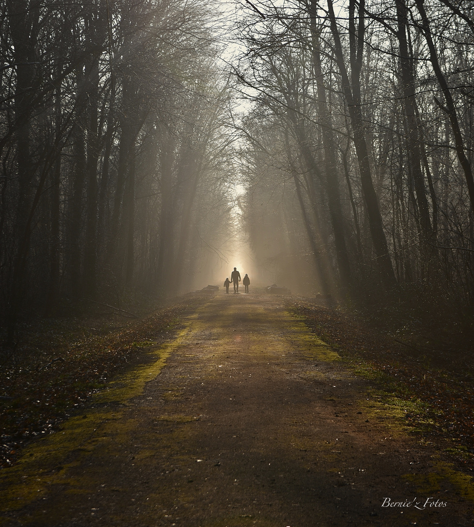 Promenade du dimanche