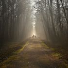 Promenade du dimanche