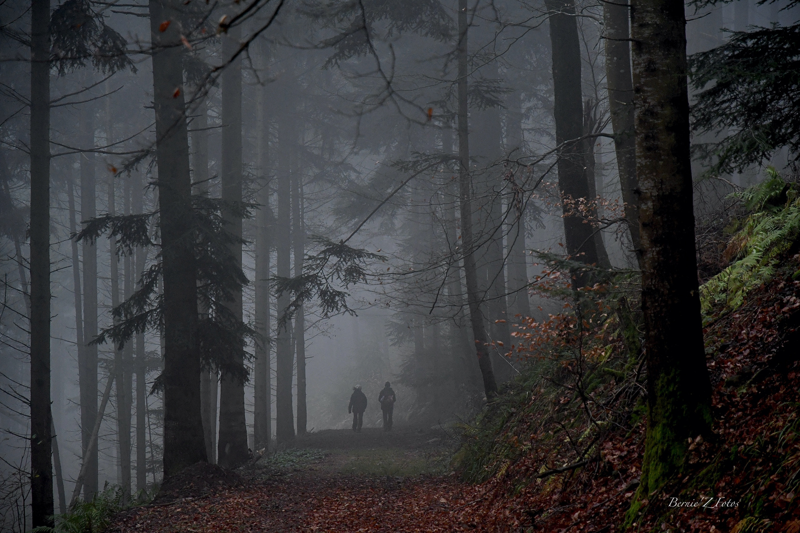 Promenade du dimanche