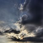 Promenade du soir