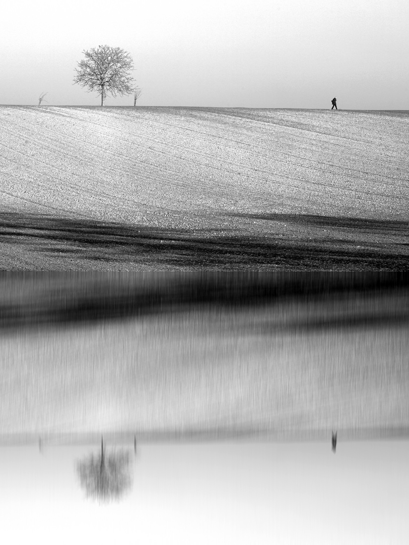 Promenade en Alsace