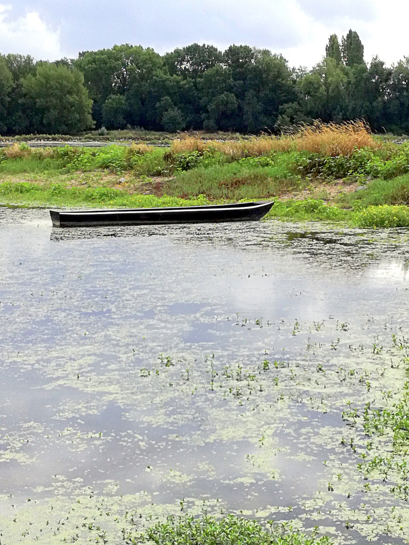 Promenade en bord de Loire ...