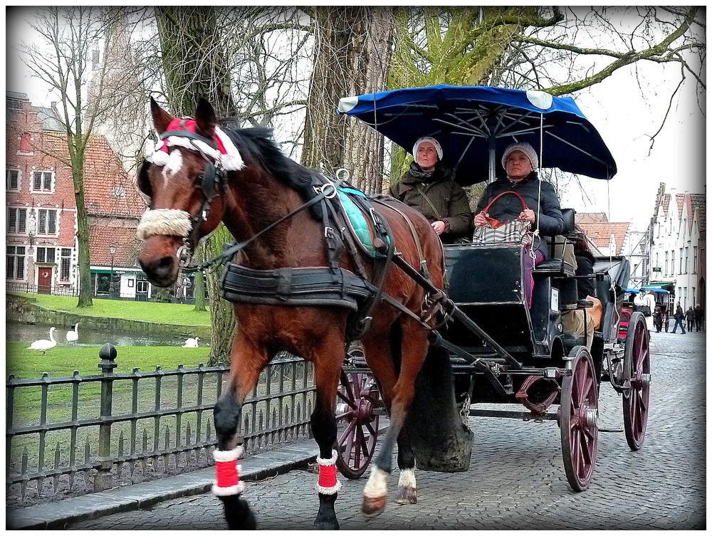 PROMENADE EN CALECHE ,