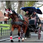 PROMENADE EN CALECHE ,