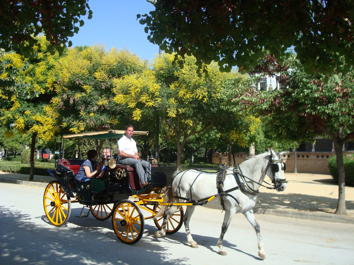 Promenade en calèche dans Séville