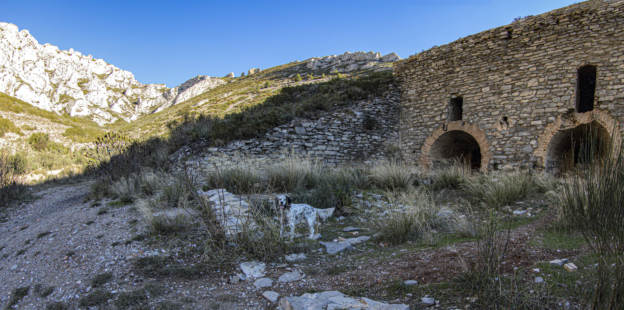 Promenade en colline 