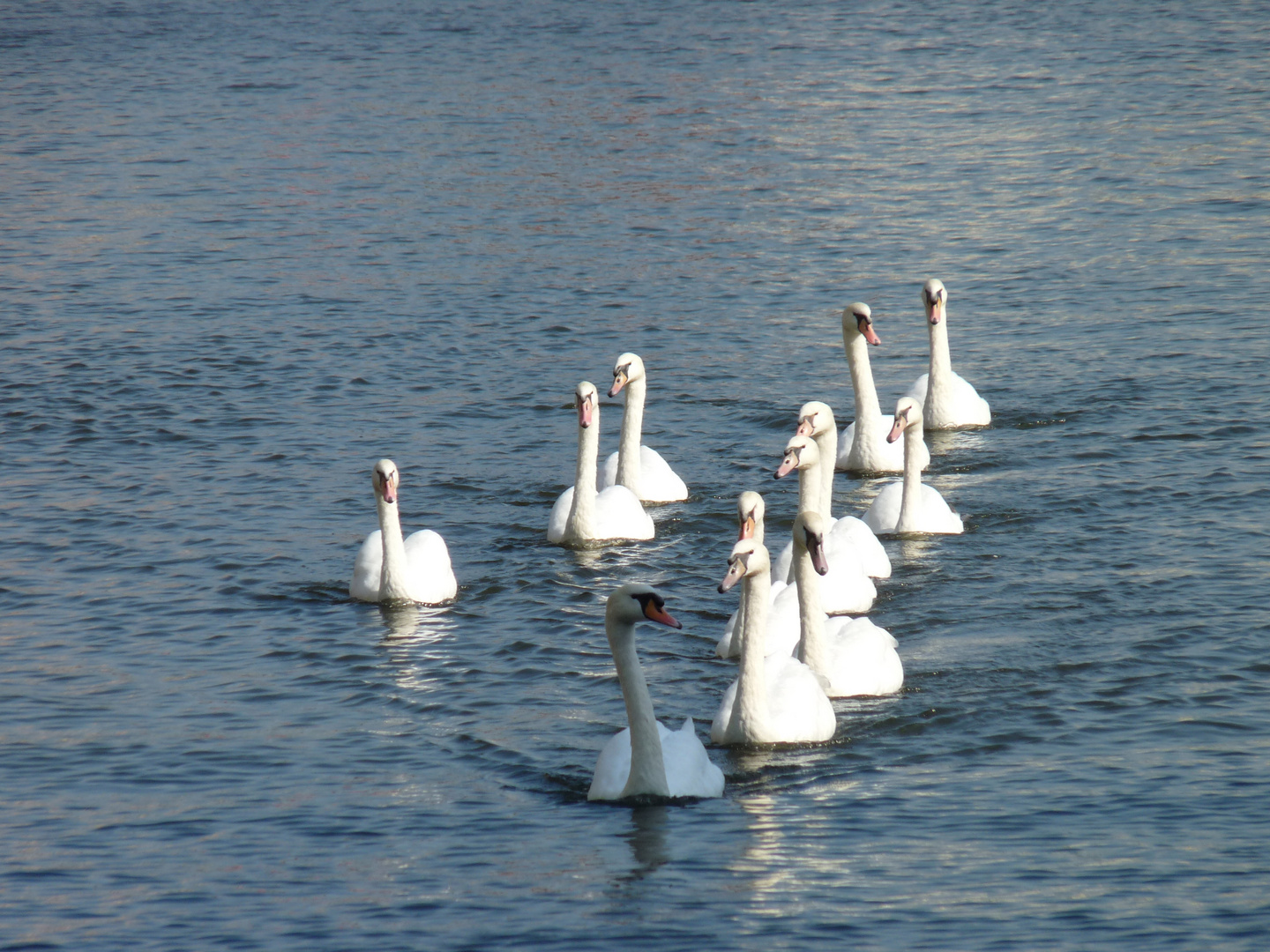 promenade en famille