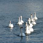 promenade en famille